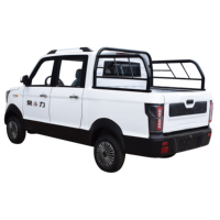 Haute qualité électrique-pick-up-camion pick-up électrique voiture électrique mini camion