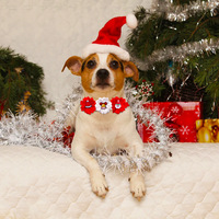 Nouveau Noël Pet Accessoire Trois Fleurs Léger et Sans Contrainte Chien Chat Noeud Papillon Collier