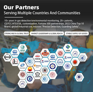 Detector de Gás Duplo de Alta Precisão HIREP LCD HRP-T2000 Certificado ATEX/FCC/SIL para Monitoramento de Ex H2S em Refinarias de Petróleo e Indústria Química - Product Image 4