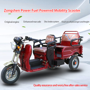 Triciclo a benzina per famiglie piccole signore anziani e bambini Pick-up & Walk corpo chiuso per Cargo & auto - Product Image 2