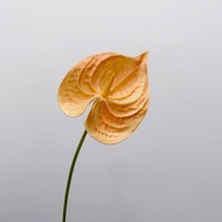 Echt Aussehende PU Anthurium Andraeanum Lind Hochzeitskerze Spathiphyllum Weinrot Grün Anthurium