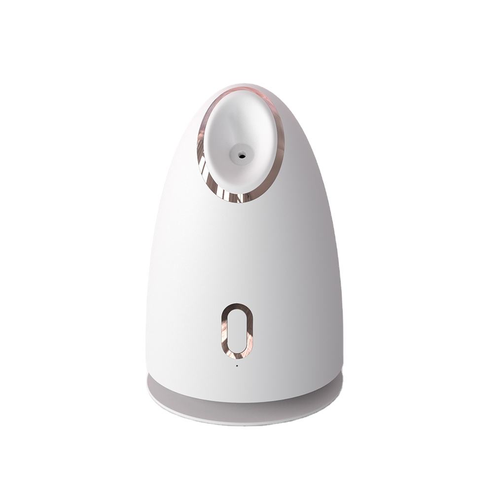 Skin Care Appliances Women Electric Mini Facial Rechargeable Nano Mist Sprayer