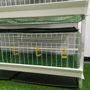 Modern Design 60/80 Birds <strong>Layer</strong> <strong>Cage</strong> H Type Battery Automatic Galvanized Poultry Farm <strong>Chicken</strong> Broiler <strong>Cages</strong> - Product Image 6
