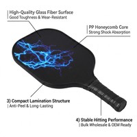 Kinder-Fiberglas-Pickleball-Schläger mit PP-Wabenkern, Langlebig, Leicht, Tragbar, für Training, Jugendliche, Junior, OEM