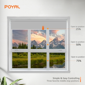 Tuya, interruptor Bluetooth, sala de estar de lujo, persianas enrollables verticales, Motor tubular eléctrico, Receptor incorporado, Oficina de aluminio - Product Image 6