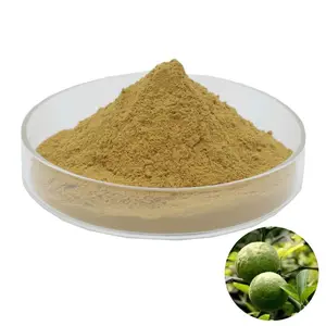 Top Quality Citrus Aurantium Extract Citrus Extract Powder 30% Bioflavonoids Powder