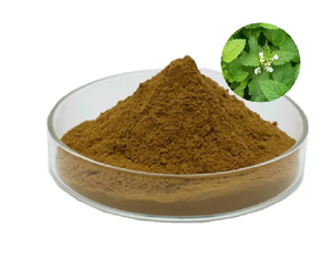 สารสกัดจากเมลิสสา officinalis สารสกัดจากผงเลมอนบาล์มสมุนไพรสำหรับอาหารเสริมบำรุงผิว - Product Image 4