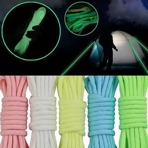 Glow In Dark Paracord 9 Core Braided Imitation Nylon Cord For DIY <b>Craft</b> Tent <b>Rope</b> Macrame Cord Round Shape Luminous <b>Rope</b> - Product Image 2