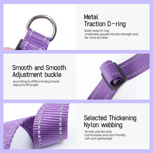 <span class=keywords><strong>Collar</strong></span> de perro con nombre personalizado reflectante para exteriores, <span class=keywords><strong>collar</strong></span> de perro ajustable grabable con correa para mascotas - Product Image 6