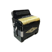 Accordéon diatonique professionnel OEM JB3412E en bois, 34 boutons, 12 basses, 6 registres, corps noir brillant, boutons grillagés dorés, portable