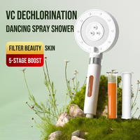 Ensemble de douche réglable à cinq niveaux avec filtre VC, pommeau de douche pulvérisateur embellissant la peau, personnalisable OEM pour accessoires de salle de bain modernes