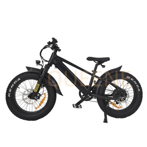 QUEENE/24V 36V 250W Trottinette électrique, vélo d'équilibre pour enfants, jouet pour enfants, vélo d'apprentissage, vélo d'équilibre électrique - Product Image 2