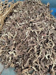 Natuurlijk Groot Koraal Drijfhout Voor <span class=keywords><strong>Aquarium</strong></span> Decor Reptiel Decor, Diverse Drijfhout Tak, <span class=keywords><strong>Aquarium</strong></span> Decoratie - Product Image 5