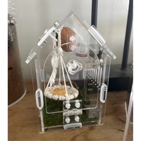 Boîte de présentation en acrylique pour insectes, cage d'élevage OEM d'usine pour tarantules, insectes, lézards et araignées