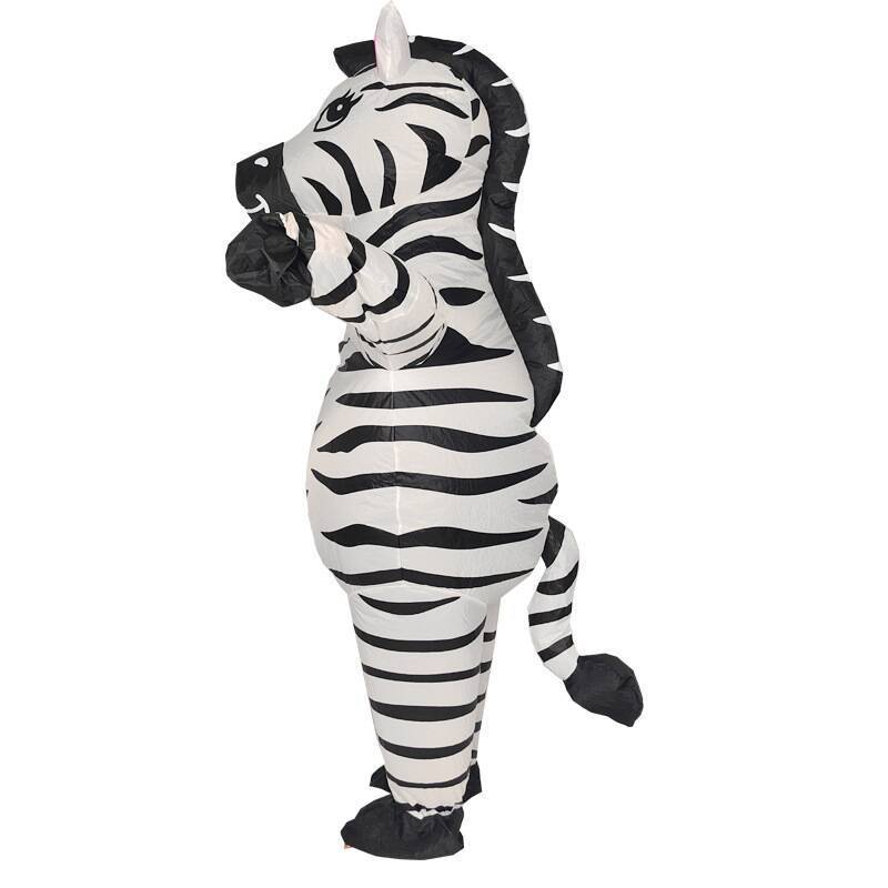 Zebra adult