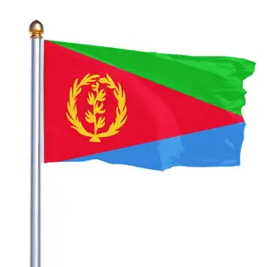 Prodotto promozionale vendita calda 3 x5ft 100% poliestere decorativo per esterni appeso bandiera eritreo personalizzata bandiere dell'eritrea
