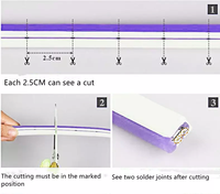 Nouveau style, tube LED néon flexible en silicone 12V 6*12mm/8*16mm 120LED/m, IP67, certifié CE FCC, 5m/rouleau, pour la publicité et l'habitat
