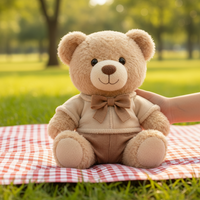 Ours en peluche personnalisable, prix d'usine en gros, emballage cadeau disponible