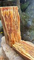 Camping Pin Allume-feu Bâtons BBQ Grill Cheminée Poêle à granulés de bois Charbon de bois Allume-feu Bois 100% Naturel 10LB Pin Fatwood