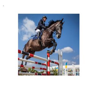 Highest Barriers to Frame Horse <strong>Jump</strong> Poles Horse <strong>Jump</strong> - Product Image 1