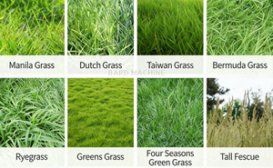 Tondeuse à gazon professionnelle polyvalente avec protection thermique du moteur et bac de ramassage de gazon à capacité supplémentaire pour les entrepreneurs en aménagement paysager - Product Image 6