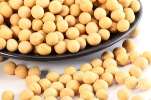 Органический натуральный экстракт наттокиназы порошок - Product Image 5