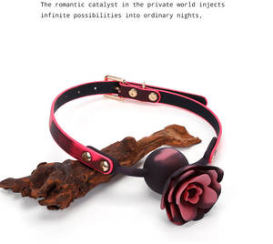 Tapón Bucal <span class=keywords><strong>de</strong></span> Silicona con <span class=keywords><strong>Cambio</strong></span> <span class=keywords><strong>de</strong></span> Temperatura, Accesorios Sexuales SM, Juguete Sexual <span class=keywords><strong>para</strong></span> Adultos, Coqueteo en Pareja, Juguetes Sexuales Sensuales, Hecho en Guangzhou - Product Image 2