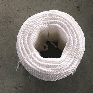 Chịu nước mạnh mẽ Kinh Tế Polyester 3 4 sợi dây thừng cho Neo và kéo bán buôn 6mm 8mm 10mm xoắn dây dây - Product Image 4