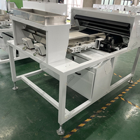 Intelligente Automatische Bandkoffie Fruitvorm Kleur Sorterende Machine Koffiekersen Separator Optische Sorteermachine Hoge Nauwkeurigheid 2-3 T/H