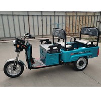 Tuktuk, petit tricycle électrique pliable chinois, scooter pour adultes, vélo avec siège passager