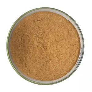 Hot Sale Ligustilide Angelicae Sinensis Extract Dong Quai Angelica Root Extract Powder