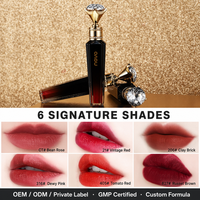 Teinte à lèvres en velours rétro à marque privée, gloss hydratant végétalien, maquillage waterproof personnalisé avec logo, vente en gros, faible MOQ