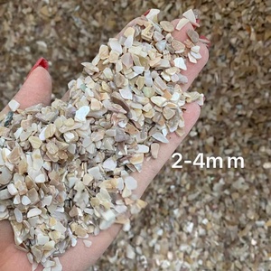 Chips de Nácar Natural Triturado de Alta Calidad, Conchas Marinas para Decoración del Hogar, Manualidades, Jardín, Parque, <span class=keywords><strong>Terrazo</strong></span> y Pisos - Product Image 1