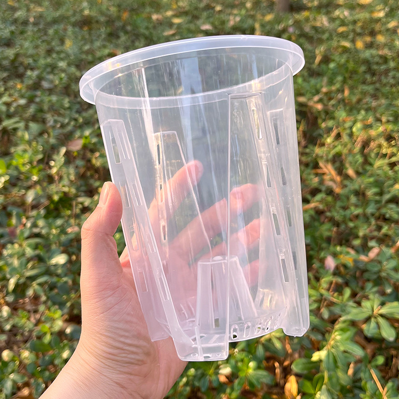 Transparent [without tray