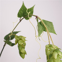 Großhandel umwelt freundliche Home Weihnachten Neujahr künstliche echte Berührung Hopfen Lupulus Blume Obst Beeren Zweig für Hochzeit Ostern