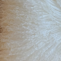 Housse de coussin personnalisée en peau de mouton tibétaine et mongole véritable, décoration d'intérieur, coussin de siège en laine longue, housse de coussin en fourrure véritable
