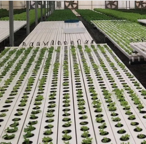 Petit et grand tube hydroponique en <span class=keywords><strong>PVC</strong></span> pour serre agricole, hangar en plastique, couverture de feuille de PC, <span class=keywords><strong>gouttière</strong></span> carrée NFT pour usage végétal, stable - Product Image 6