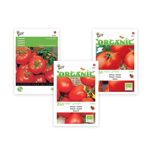 Solanum scarlatto di alta qualità 3 <span class=keywords><strong>pomodoro</strong></span> giardino scrofa pacchetto sacchetto di piante Kit per la semina per l'utilizzo del pavimento casa all'aperto - Product Image 3