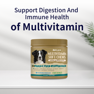 أقراص متعددة الفيتامينات للكلاب والقطط والحيوانات الأليفة لدعم صحة الجهاز الهضمي والدعم الموسمي للصحة، مكملات فيتامينات للعناية بصحة الحيوانات الأليفة (تصنيع حسب الطلب/تصميم حسب الطلب) - Product Image 3