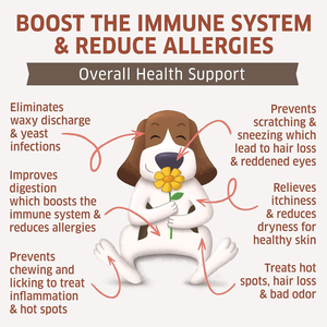 Prix <span class=keywords><strong>de</strong></span> gros chien immunitaire à mâcher suppléments allergènes pour les allergies saisonnières points chauds colostrum probiotiques soutien immunitaire - Product Image 3