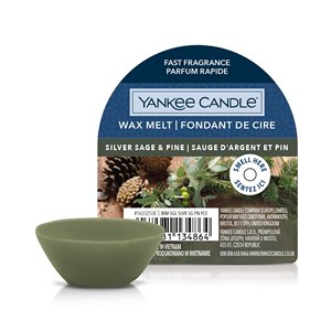 Yankee Candle - Bougie fondante parfumée Sauge argentée et Pin - Product Image 1