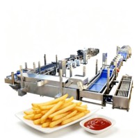 Volledig automatische productielijn voor gebakken aardappelchips, machine voor het maken van frieten, installatie voor de verwerking van diepvriesfrieten