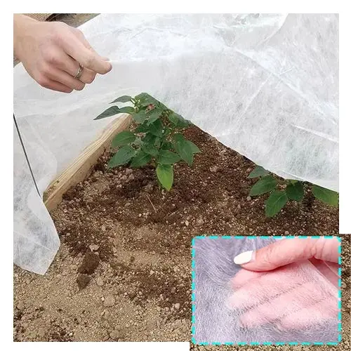 Vente en gros Non tissé pour l'agriculture Couverture de protection des plantes Couverture de plantes de jardin pour l'hiver Couverture contre le gel des plantes