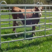 Panneaux résistants de barrière en métal de bétail de 16 pieds panneaux de corral de bétail de ferme de haute résistance