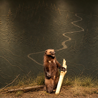 Statue d'animal en fibre de verre artisanale, thème Forêt Rive de la rivière, pour exposition de diorama du Musée d'Histoire Naturelle, décoration de zoo et parc à thème