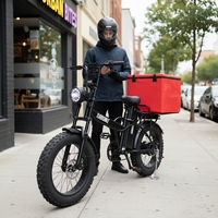 Vélo de montagne électrique 2026, moteur central 48V, frein à disque, batterie lithium 500W sans balais, acier haute teneur en carbone, pneus larges/pour neige