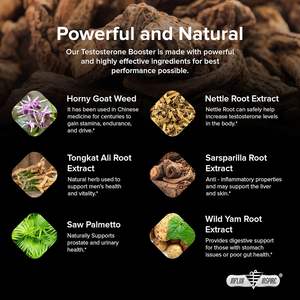 Integratore per la Salute Maschile a Marchio Privato, Capsule per Migliorare Resistenza e Forza, Booster di Testosterone per Prestazioni Adulte - Product Image 2