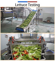 Machine de lavage Vortex 3T/H pour chou coréen, laitue, épinards, feuilles de thé, laitue biologique, poivron Dyal, pour usine de transformation de légumes