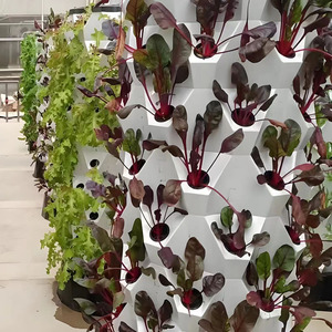 Sistema de Jardín Hidropónico Automático Interior Grande Personalizado, <span class=keywords><strong>Invernadero</strong></span> <span class=keywords><strong>Casero</strong></span> para Fresas - Product Image 5