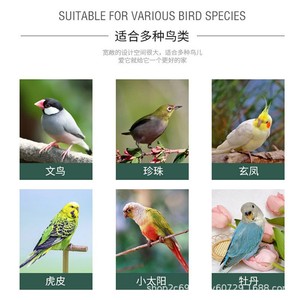 Casa para Pájaros de Madera Sólida para Exteriores, Estilo Villa, Nido Colgante para Aves, Acabado Natural, Tamaño Pequeño - Product Image 4
